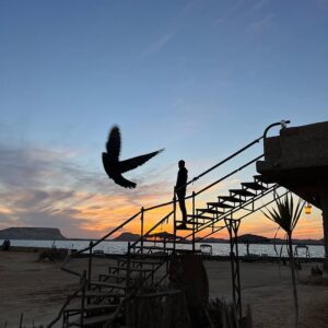 روعة الطبيعة في جزيرة طغاغين 