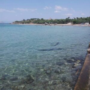 جزيرة "إيجينا" اليونانية بقلم عبد السلام الزغيبي في أذواق